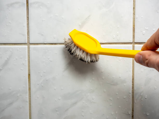 Best Mold Removal Near Me  in Tomah, WI