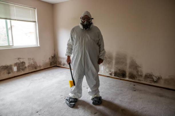 Best Residential Mold Removal  in Tomah, WI
